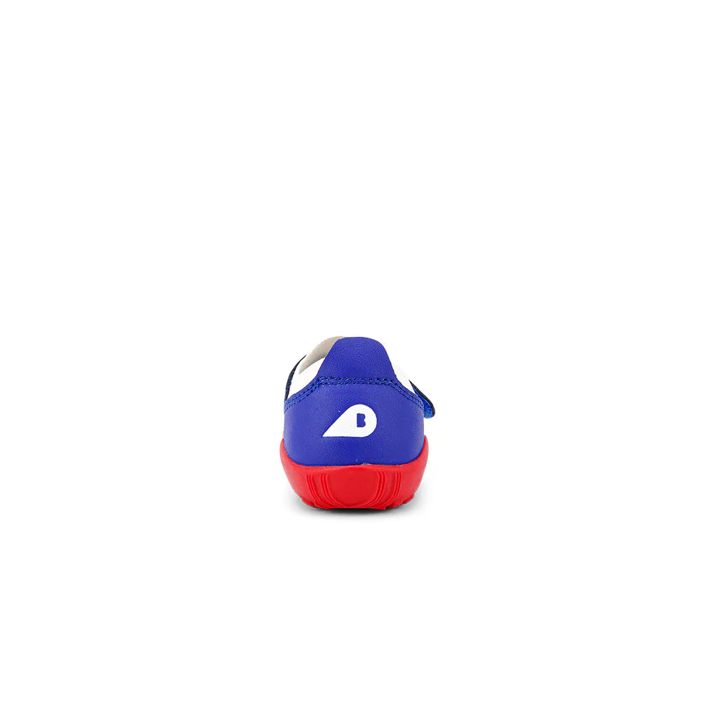 DIMENSION III BLUEBERRY & WHITE IW