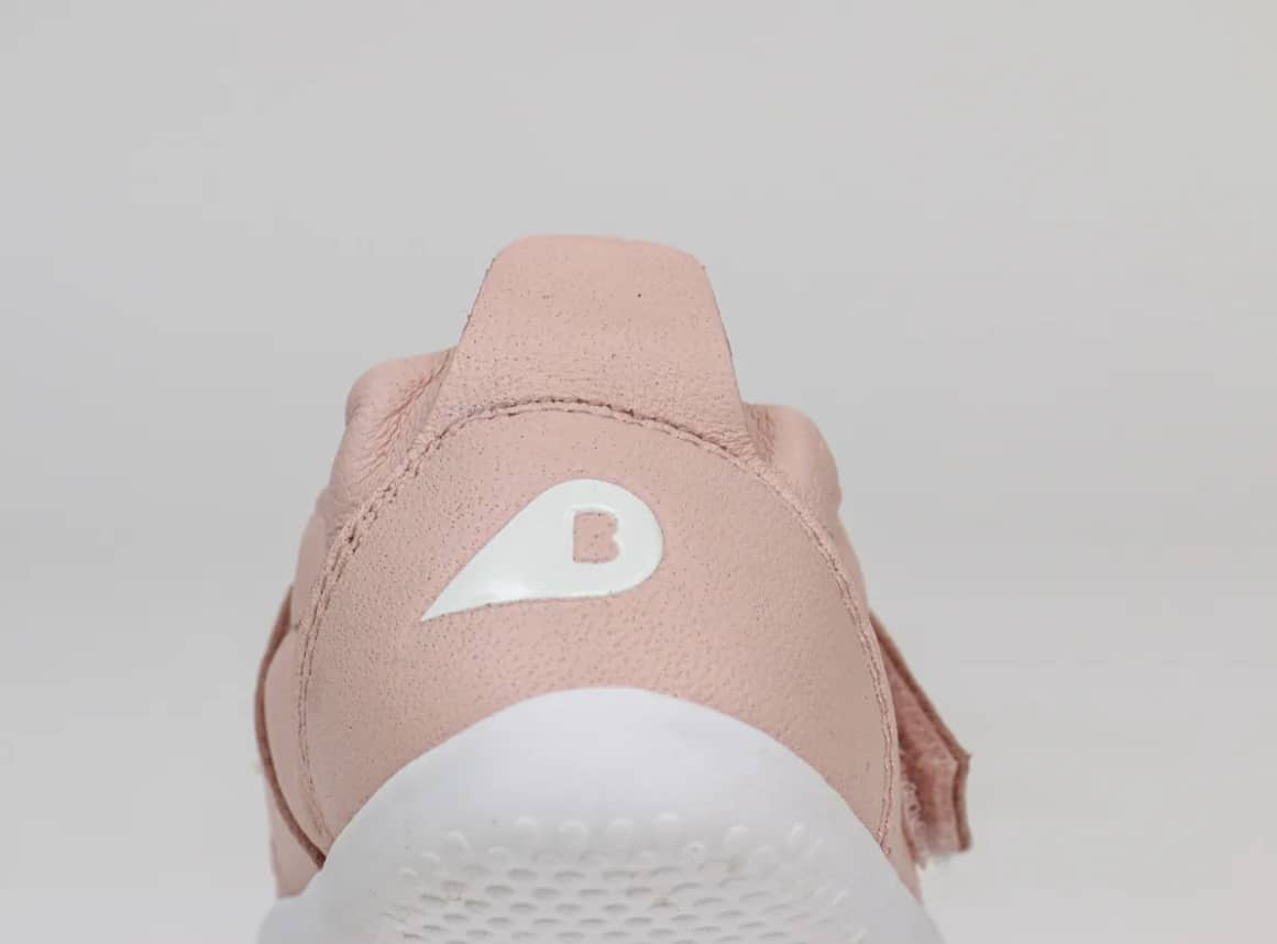 XPLORER GO SEASHELL