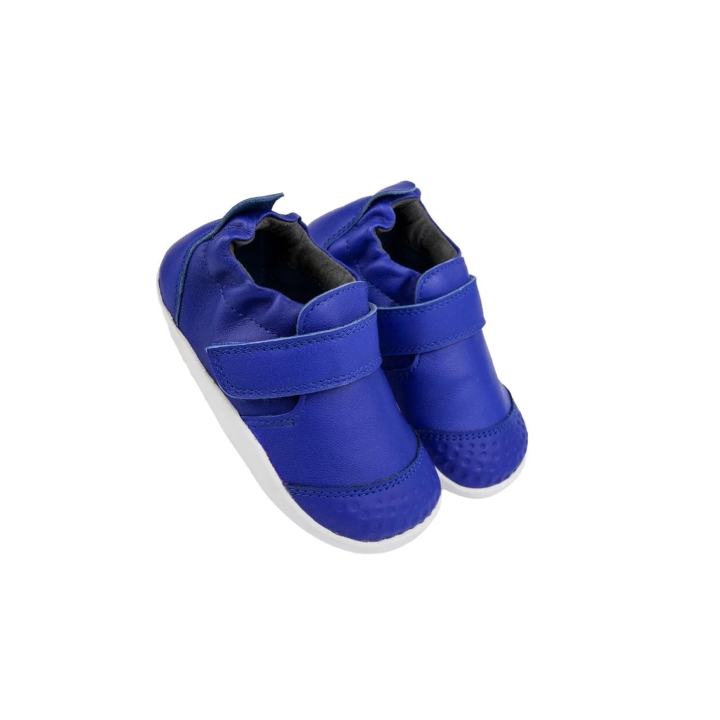 XPLORER GO BLUEBERRY